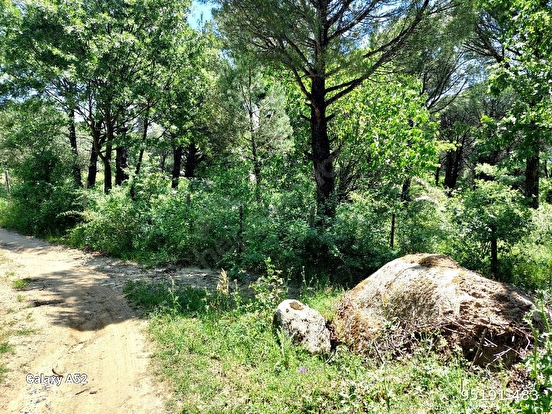 BERGAMA KOZAK YAYLASI KIRANLI MAH DE 1155 M2 BAĞ - İZMİR BERGAMA fotoğraf 3